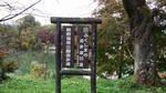 DSCF1333.jpg