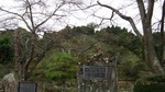 DSCF1337.jpg