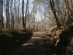 DSCF1400.jpg