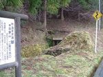 DSCF1416.jpg
