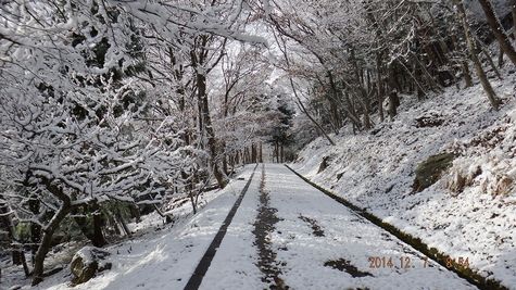 DSCF1417.jpg