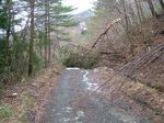DSCF1421.jpg