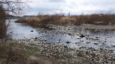 DSCF1424.jpg