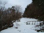 DSCF1424.jpg