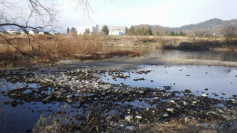 DSCF1429.jpg