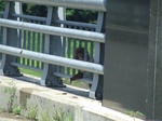 DSCF1479.jpg