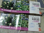 DSCF1482.jpg