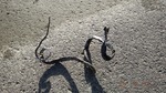 DSCF1504.jpg