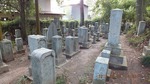 DSCF1510.jpg