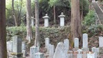DSCF1513.jpg