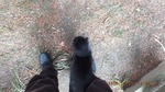 DSCF1517.jpg
