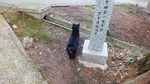 DSCF1521.jpg