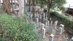 DSCF1526.jpg