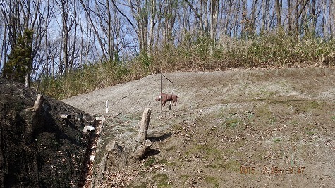 DSCF1552.jpg