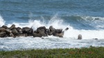 DSCF1592.jpg