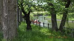DSCF1595.jpg