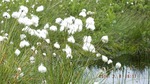 DSCF1631.jpg