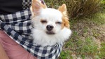 DSCF1646.jpg