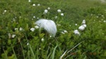 DSCF1651.jpg