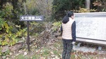 DSCF1687.jpg