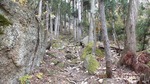 DSCF1689.jpg