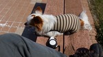 DSCF1693.jpg