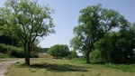 DSCF1694.jpg