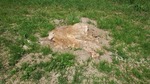 DSCF1695.jpg