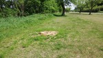 DSCF1696.jpg