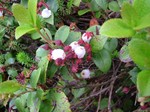 DSCF1698.jpg