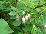 DSCF1699.jpg