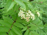 DSCF1704.jpg