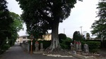 DSCF1734.jpg