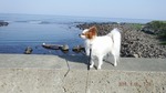 DSCF1777.jpg