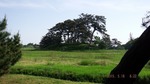 DSCF1786.jpg