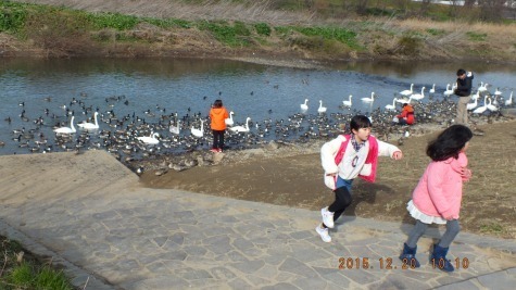 DSCF1796.jpg