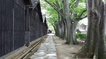DSCF1809.jpg
