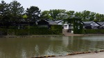 DSCF1817.jpg