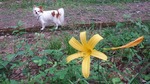 DSCF1864.jpg