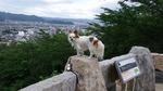 DSCF1865.jpg