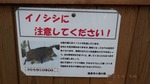 DSCF1870.jpg