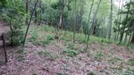 DSCF1872.jpg