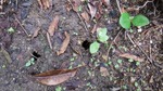 DSCF1893.jpg