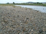 DSCF1895.jpg