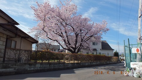 DSCF1900.jpg