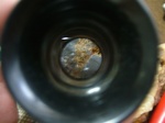 DSCF1902.jpg