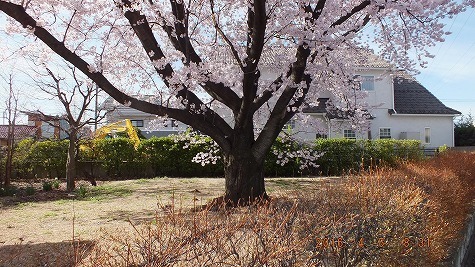 DSCF1907.jpg