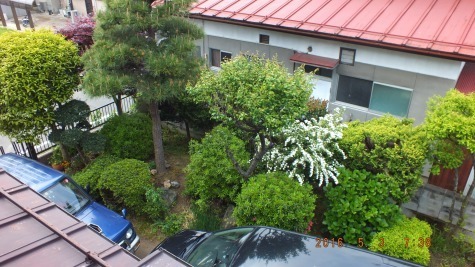 DSCF1914.jpg
