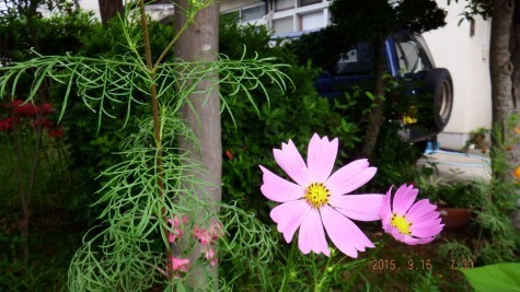 DSCF1938.jpg