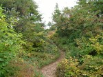 DSCF1952.jpg